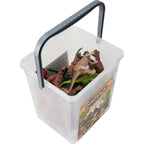 25Pcs Rubber Dinasour Box Set For Kids